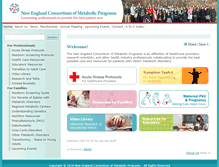 Tablet Screenshot of newenglandconsortium.org
